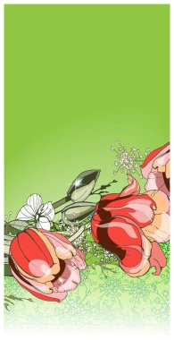 Yeşil arka planda laleler. Çeşitli konulardaki tebrik kartları. Yazmak için alanı olan