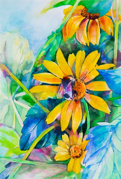 Aquarellzeichnung Von Sommergelben Blumen Von Heliopsis Bild Der Wand Einem — Stockfoto