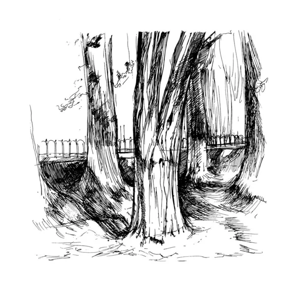 Graphic drawing on a white background. Square - shaped illustration. Elements of urban and Park landscape.