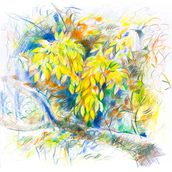 秋鉛筆画 カラフルなバーのイラスト グラフィックイメージ 庭の植物や花 公園や村の風景 — ストック写真