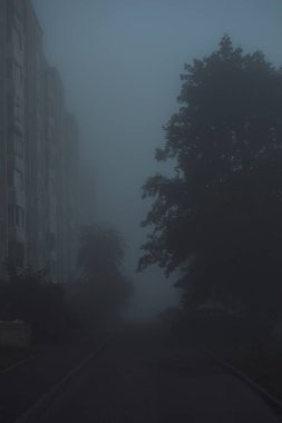 Siste yüksek katlı binalar