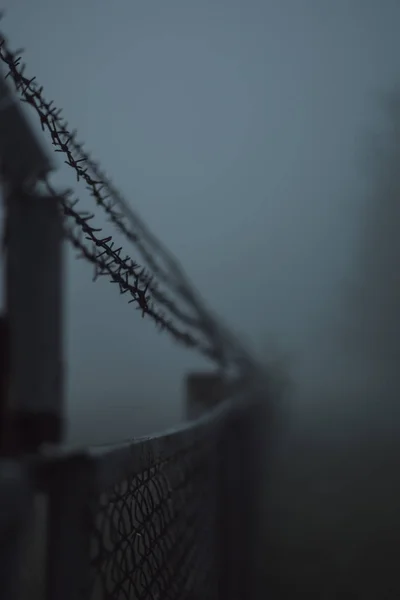 Bokeh dikenli tel çit yakın