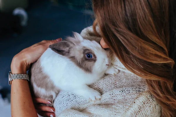 Girl hugs a cute white rabbit at home.a girl with a rabbit, bunny pet.close up hands girl cuddling a lop-eared white rabbit against her on studio