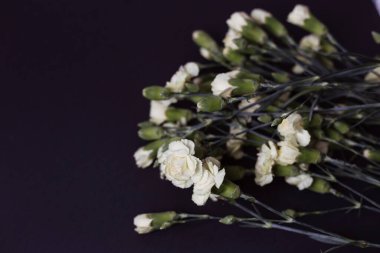 Siyah arka planda yeşil sarı karanfiller. Mesajı yerleştir. Anneler Günü. Selam kartı. Sarı karanfil.