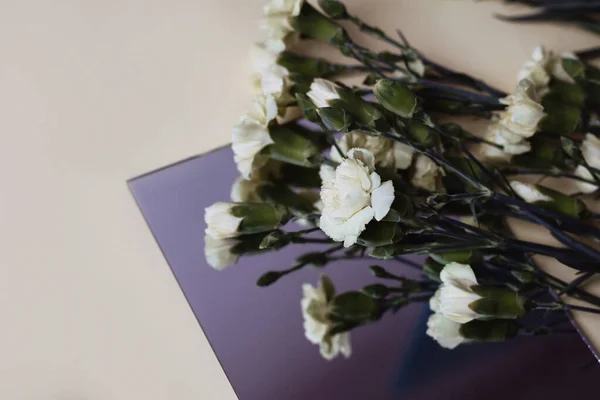 Yellow carnations on a beige background with mirror. Carnation flowers reflection on mirror. Mother\'s day, Valentines Day, Birthday celebration concept. Copy space for text, top view