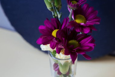 Bahar çiçekleri ve gri arka planda yuvarlak karatahta. Sarı-gri arka plan. Yuvarlak bir tahtada çiçekler.