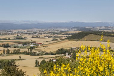 Güneşli bir yaz gününde Dağ Köyü. İspanya Dağları 'ndaki küçük bir köye manzaralı. Dağlar arasında tarlaları ve köyleri olan yeşil bir vadi..