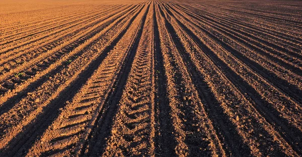 Rader Jorden Innan Plantering Fåror Rad Mönster Ett Upplöjd Fält — Stockfoto