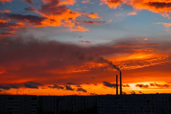 Colorful Magic Sunset Roofs City Houses Sunrise Birds Flying Sky — Stock Photo, Image