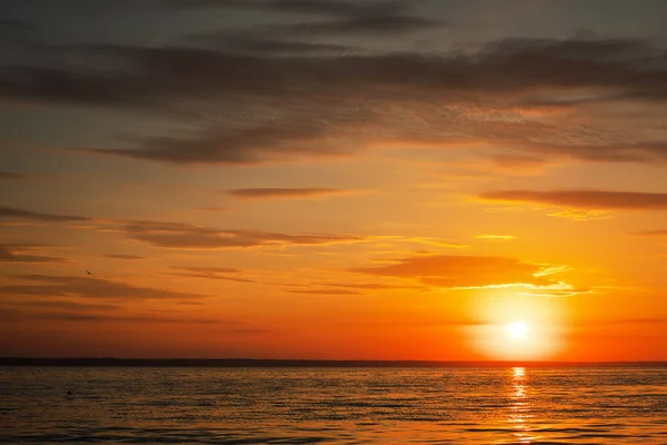 Schöner Feuriger Sonnenuntergang Strand Zusammensetzung Der Natur — Stockfoto