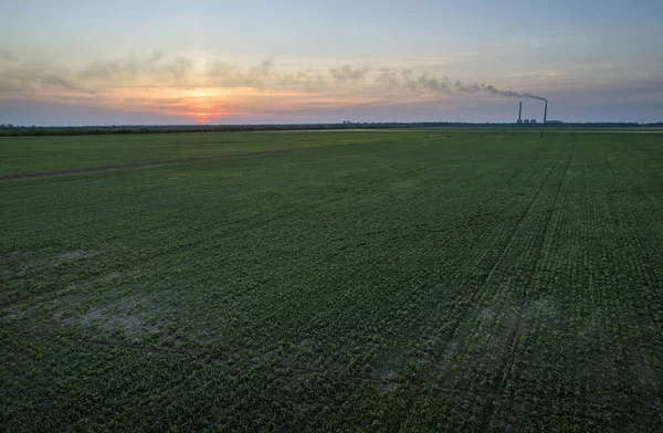 Green Field Барвисті Захід Сонця Повітряна Фото Зроблені Безпілотних Літаків — стокове фото