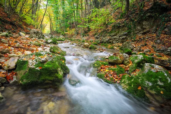 Bellissimo Paesaggio Autunnale Con Fiume Montagna Pietre Alberi Colorati Foresta — Foto Stock