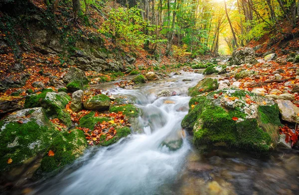 Güzel sonbahar manzara nehir dağ, taş ve renkli ağaçlar. Dağ orman Kırım '