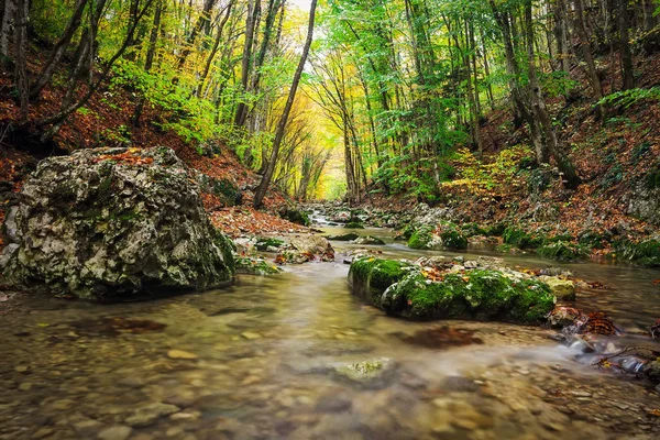 Piękny Krajobraz Jesień Góry Rzeki Kamienie Kolorowe Drzewa Góry Las — Zdjęcie stockowe