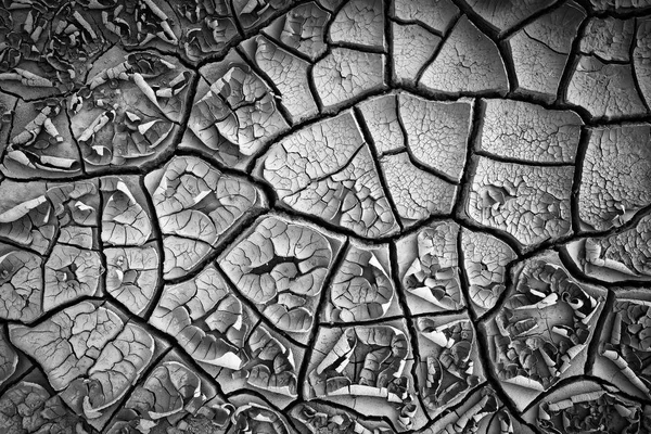 Dried cracked earth soil ground texture background. Black and white. Mosaic pattern of sunny dried earth soil
