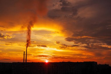 Renkli Sihirli Günbatımı. Gün doğumunda şehir evlerinin çatıları. Kuşlar gökyüzünde uçuyor. Termik santral borusundan siyah duman geliyor..