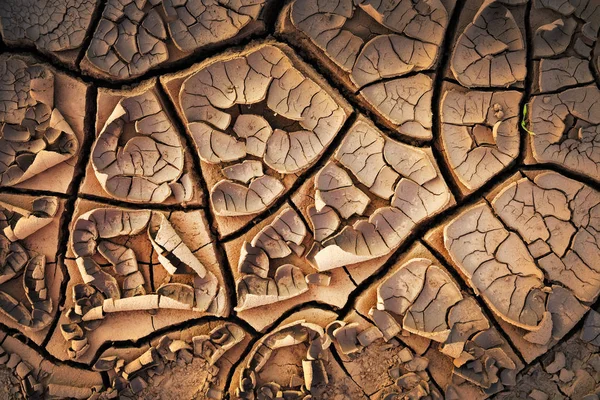 Dried cracked earth soil ground texture background. Mosaic pattern of sunny dried earth soil