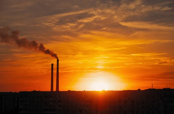 Colorful Magic Sunset. Roofs of city houses during sunrise. Birds flying in the sky. Dark smoke coming from the thermal power plant pipe.