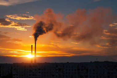 Renkli Sihirli Günbatımı. Gün doğumunda şehir evlerinin çatıları. Kuşlar gökyüzünde uçuyor. Termik santral borusundan siyah duman geliyor..