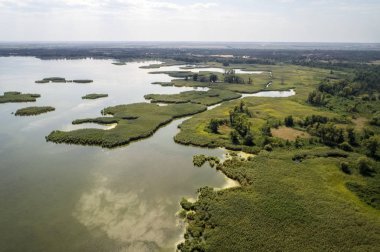 Bataklık Gölü, arka plan resmi bir yaz gününde hava fotoğrafçılığı