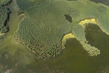 Bataklık Gölü, arka plan resmi bir yaz gününde hava fotoğrafçılığı