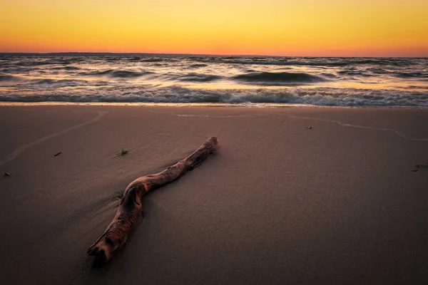 Beau Paysage Avec Mer Coucher Soleil Bois Flotté Composition Nature — Photo