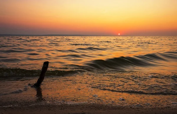 Beau Paysage Avec Mer Coucher Soleil Bois Flotté Composition Nature — Photo