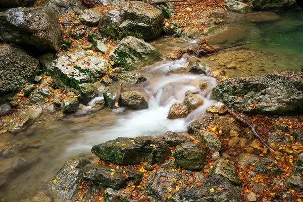 Bela Paisagem Outono Com Rio Montanha Árvores Coloridas Com Folhas — Fotografia de Stock