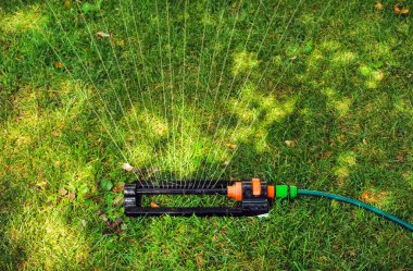 Su üzerinde yeşil çim spaying Çim Sulama. Sulama sistemi. backligh