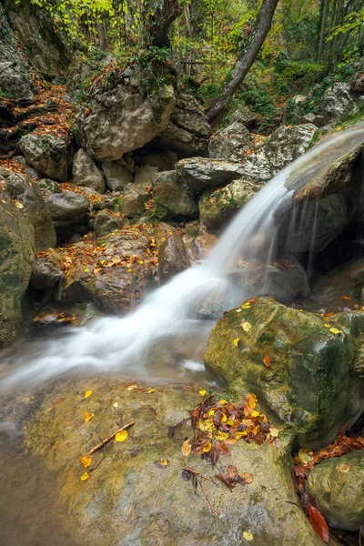Горная Река Лесу Красивый Осенний Пейзаж — стоковое фото
