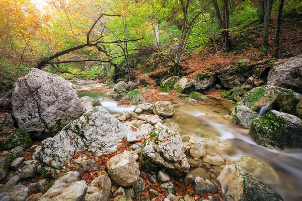 Sonbahar dere ormanları, sarı ağaçlar yapraklar ve orman dağlarında kayalar.