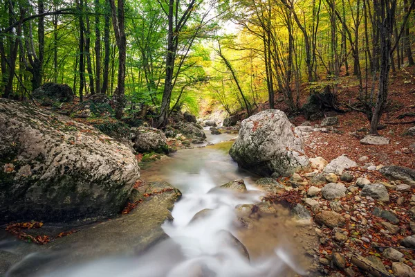 Sonbahar dere ormanları, sarı ağaçlar yapraklar ve orman dağlarında kayalar.