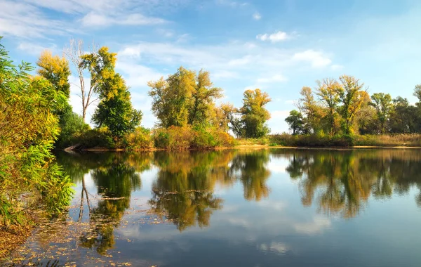 Tree Refleksje Jeziorze Czasie Jesieni Piękny Park — Zdjęcie stockowe