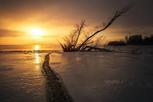 Vinterlandskap Med Logga Den Frusna Sjön Nära Stranden — Stockfoto