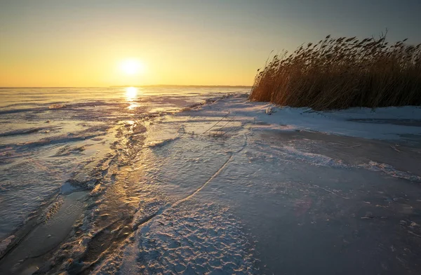 Paisagem Inverno Com Lago Congelado Rachaduras Juncos Céu Por Sol — Fotografia de Stock