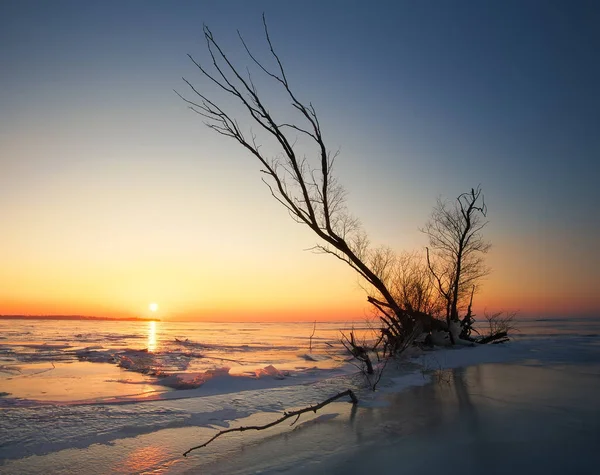 Vinterlandskap Med Logga Den Frusna Sjön Nära Stranden — Stockfoto