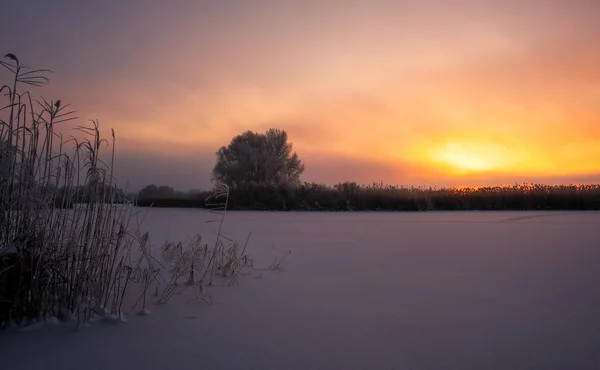 Krásná Zimní Krajina Barevný Večer Slunce Nad Řeky Nebo Jezera — Stock fotografie