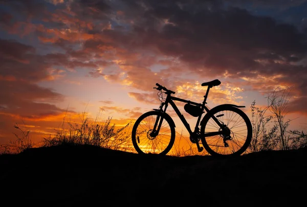 Sylwetka Roweru Podczas Zachodu Słońca Sandy Łąka Nikt — Zdjęcie stockowe
