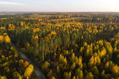 Sonbahar Orman hava görünümünü. Kırmızı, sarı ve yeşil ağaçlar, yatay düşmek. Uçak fotoğraf