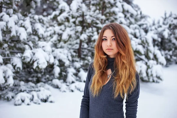 Piękna Młoda Dziewczyna Stwarzających Zimie Zimnym Lesie Porośniętym Sosnami — Zdjęcie stockowe