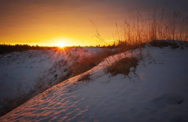 Paisagem Inverno Com Céu Por Sol Composição Natureza — Fotografia de Stock