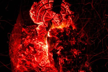 Güzel kömür ızgara içinde. Doğada kamp