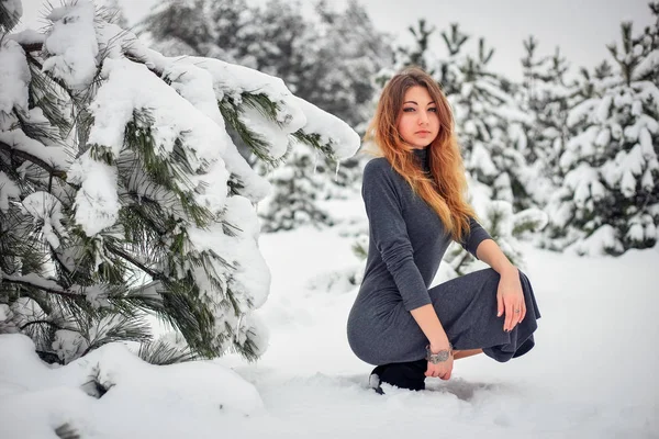 Όμορφη Νεαρή Κοπέλα Που Παρουσιάζουν Χειμώνα Στο Κρύο Δάσος Πεύκα — Φωτογραφία Αρχείου