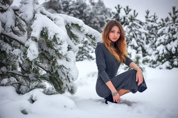 Красивая Молодая Девушка Позирует Зимой Холодном Лесу Соснами — стоковое фото