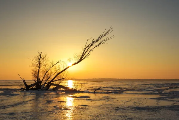 Vinterlandskap Med Logga Den Frusna Sjön Nära Stranden — Stockfoto