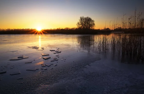 Zimní Krajina Zamrzlou Řeku Rákosí Západu Slunce Obloze Úsvitu — Stock fotografie