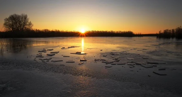 Zimní Krajina Zamrzlou Řeku Rákosí Západu Slunce Obloze Úsvitu — Stock fotografie