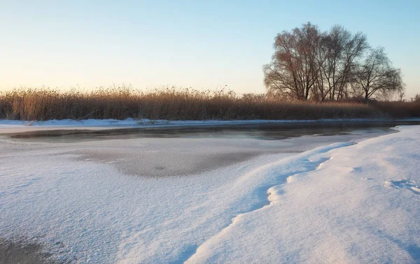 Paisagem Inverno Com Rio Juncos Árvores Composição Natureza — Fotografia de Stock