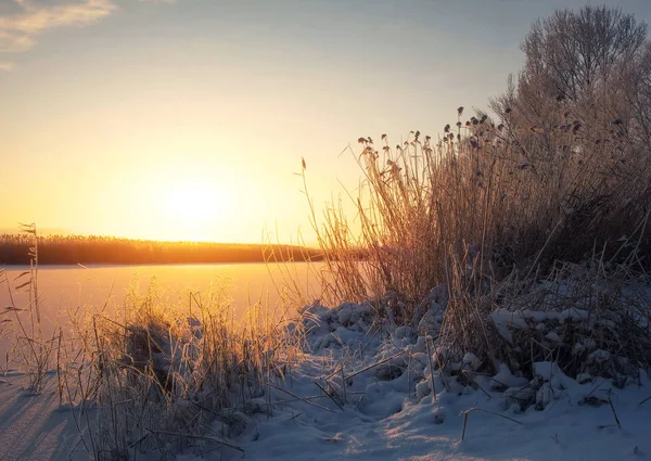 Wunderschöne Winterlandschaft Die Äste Der Bäume Sind Mit Raureif Bedeckt — Stockfoto