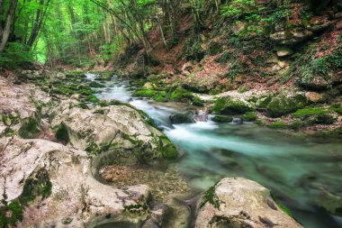 Yaz aylarında nehir dağ. Su akışı orman. Doğanın kompozisyon